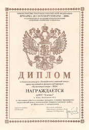 Yolochka diploma 2000 01