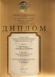 Yolochka diploma 2010 01